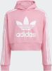 Adidas Originals Sweatshirt ADICOLOR CROPPED HOODIE online kopen