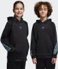 Adidas Train Icons AEROREADY 3 Stripes Sweater Met Capuchon Jongens online kopen