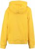 America Today Junior hoodie Stan Hood met printopdruk geel online kopen