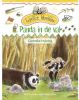 Expeditie werelddier: Panda in de val Gonneke Huizing online kopen