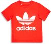 Adidas Adicolor Shortsleeve Baby T Shirts Red Katoen Jersey online kopen