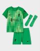 Nike Liverpool FC 2021/22 Goalkeeper Voetbaltenue voor baby's/peuters Groen online kopen