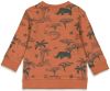 Feetje ! Jongens Sweater -- All Over Print Katoen/elasthan online kopen