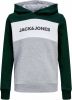 JACK & JONES JUNIOR hoodie JJELOGO met logo donkergroen/donkerblauw online kopen