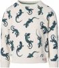 Noppies ! Jongens Sweater -- All Over Print Katoen/polyester online kopen