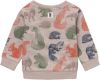 Noppies Babykleding Boys Sweater Long Sleeve Jerevan Allover Print Grijs online kopen