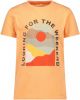 Name it ! Jongens Shirt Korte Mouw -- Zalm Katoen/elasthan online kopen