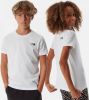 The North Face unisex T shirt Simple Dome antraciet online kopen