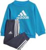 Adidas Performance joggingpak blauw/wit/donkerblauw online kopen
