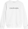 Calvin Klein Institutional Logo Crew Sweater Junior Kind online kopen
