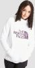 The North Face hoodie Drew Peak 2.0 met logo wit/paars online kopen