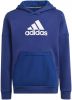 Adidas Badge Of Sports Freelift Sweater Met Capuchon Jongens online kopen