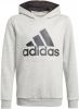 Adidas Sportswear Sweatshirt ADIDAS ESSENTIALS HOODIE online kopen